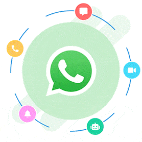  Whatsapp Group Circuit Point